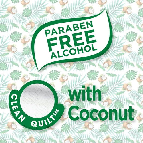 Equate Coconut Scented Flushable Wipe, 2 Flip-Top Packs (96 Total Wipes) EasyOptionXY LLC