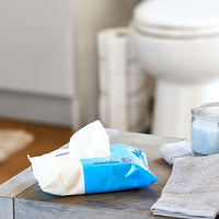 Equate Fresh Scent Flushable Wipes, 9 Resealable Packs of 48 Wipes (432 Total Wipes) EasyOptionXY LLC