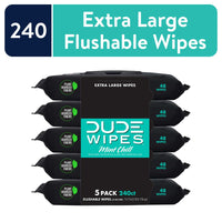 DUDE Wipes Flushable Wipes, XL Wet Wipes for At Home Use, Mint Chill, 48 Count, 5 Pack EasyOptionXY LLC