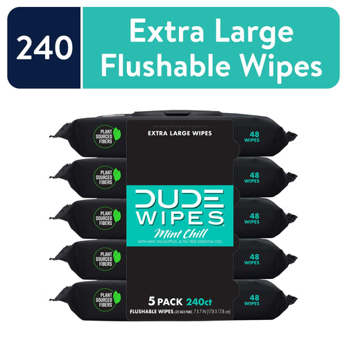 DUDE Wipes Flushable Wipes, XL Wet Wipes for At Home Use, Mint Chill, 48 Count, 5 Pack EasyOptionXY LLC
