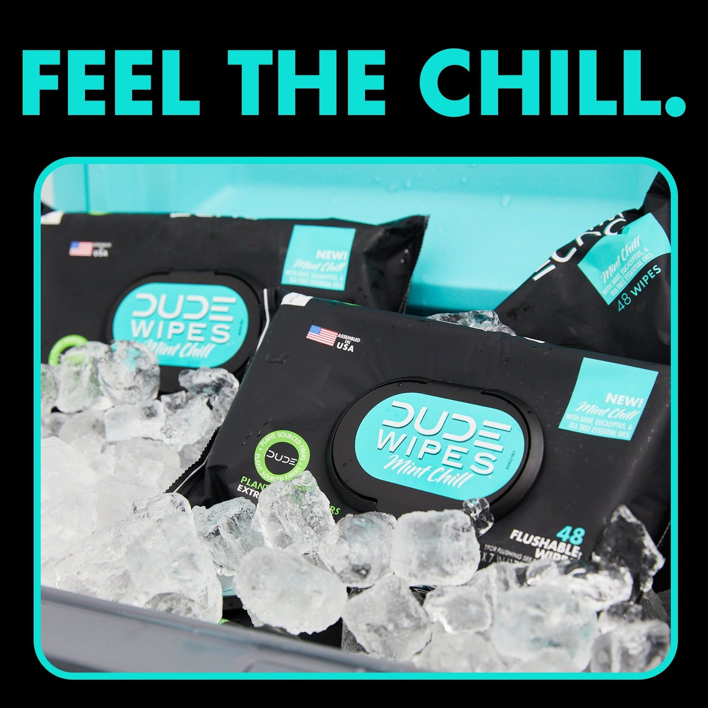 DUDE Wipes Flushable Wipes, XL Wet Wipes for At Home Use, Mint Chill, 48 Count, 5 Pack EasyOptionXY LLC