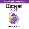 Honest Kids Organic Goodness Grapeness Grape Fruit Juice, 6.75 fl oz, 8 Pouches EasyOptionXY LLC