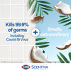 Clorox Scentiva Disinfecting Wet Mop Pads, Pacific Breeze and Coconut, 12 Count EasyOptionXY LLC