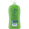 Dial Kids 2-in-1 Body+Hair Wash, Melon, 32 fl oz EasyOptionXY LLC