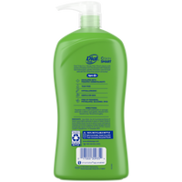 Dial Kids 2-in-1 Body+Hair Wash, Melon, 32 fl oz EasyOptionXY LLC
