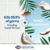 Clorox Scentiva Disinfecting Wet Mop Pads, Pacific Breeze and Coconut, 12 Count EasyOptionXY LLC