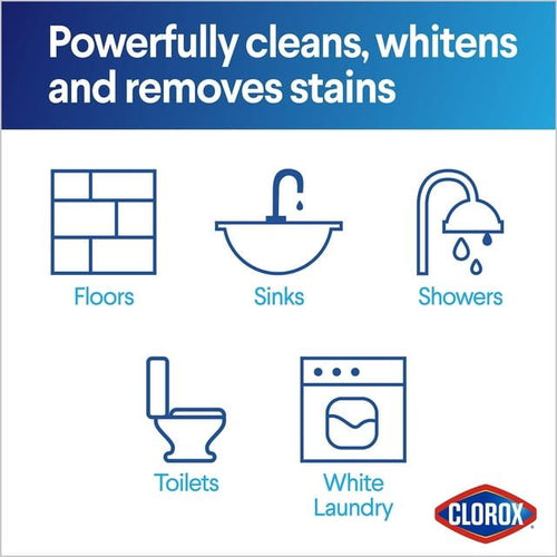 Clorox Concentrated Bleach Powder, 21.1 oz EasyOptionXY LLC