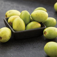 OGX Renewing Argan Oil of Morocco Shampoo, 13 Oz EasyOptionXY LLC