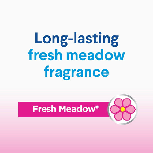 Clorox Splash-Less Liquid Bleach Cleaner, Fresh Meadow Scent, 77 fl oz EasyOptionXY LLC