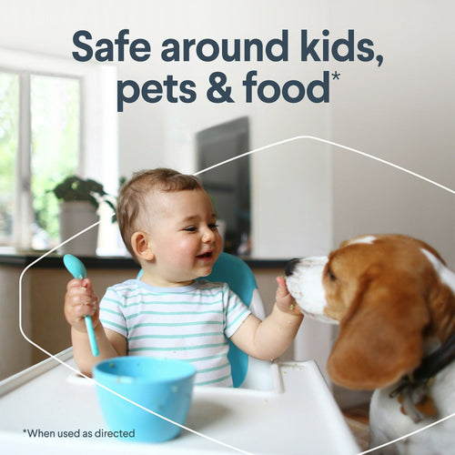 Clorox Free & Clear Disinfecting Mist, Fragrance Free, 14 Fluid Ounces EasyOptionXY LLC