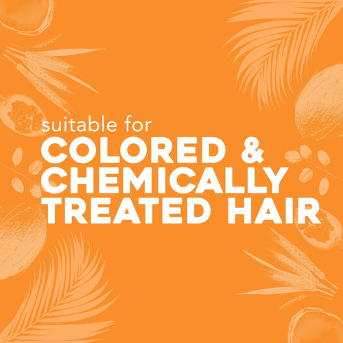 OGX Deeply Restoring + Pracaxi Recovery Oil Anti-Frizz Shampoo with Murumuru Butter to Intensely Hydrate Curly & Wavy Hair Sulfate-Free Surfactants for ColorTreated Hair13 fl oz EasyOptionXY LLC