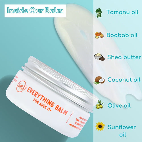 Lane & Co Everything Balm, Vegan, For Dry Skin & More, 2 oz EasyOptionXY LLC