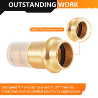 1" Copper Press x 1" PEX Expansion Brass Adapter (Lead Free)