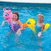 WOW Sports Pool Pals - 3 pack (17-2058) Jupiter Gear
