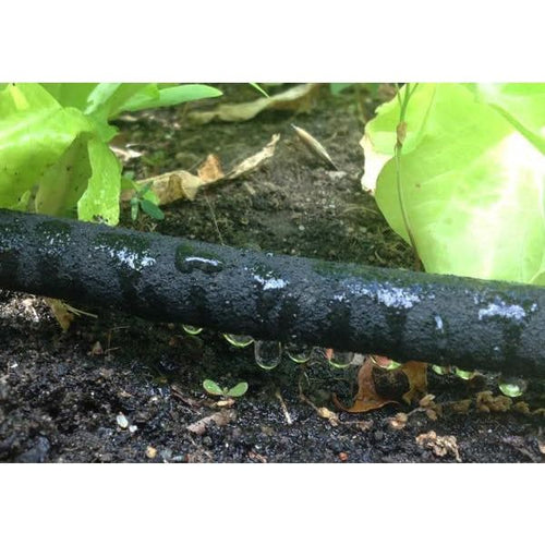 CELSPAK38100CC Soaker Kit per 1 KT EasyOptionXY LLC