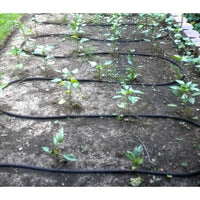 CELSPAK38100CC Soaker Kit per 1 KT EasyOptionXY LLC