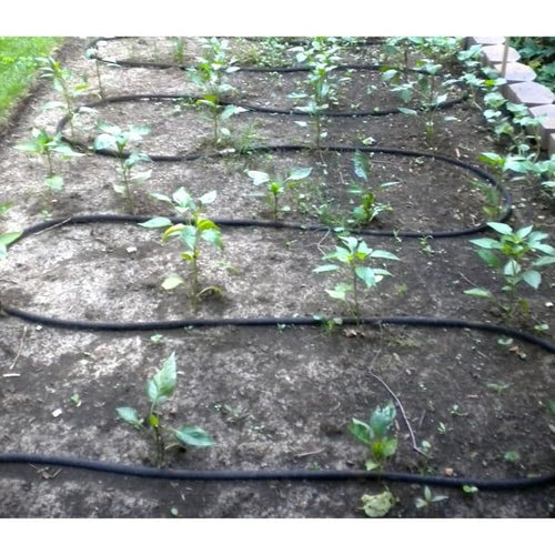 CELSPAK38100CC Soaker Kit per 1 KT EasyOptionXY LLC