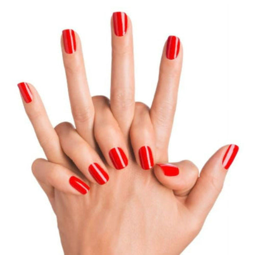 (2-Pack) Sally Hansen Treatment Ultimate Shield, 0.45 oz EasyOptionXY LLC