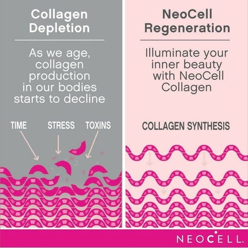 NeoCell Collagen Tablets With Vitamin C and Biotin, 180 Count EasyOptionXY LLC