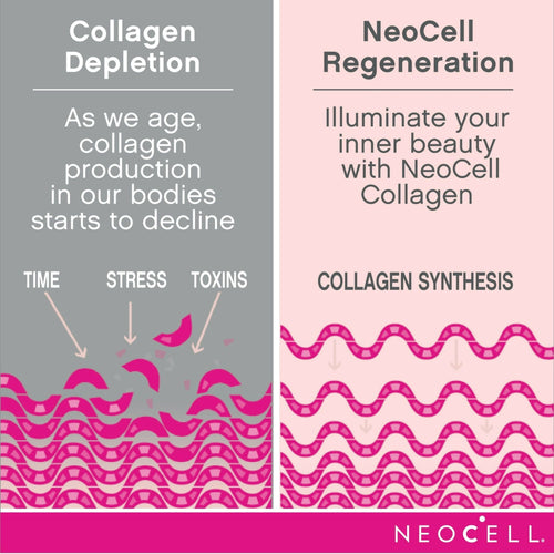 NeoCell Collagen Tablets With Vitamin C and Biotin, 180 Count EasyOptionXY LLC