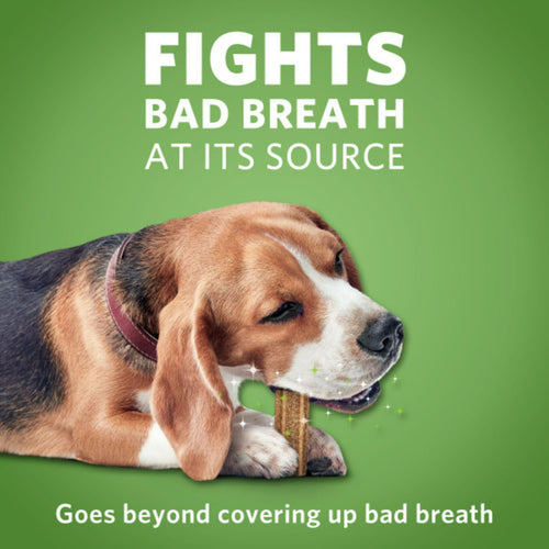 Purina DentaLife Honey & Spirulina Flavor Chunks for Dogs, 21 CT Pouch EasyOptionXY LLC