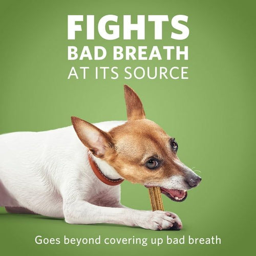 Purina DentaLife Chicken Dental Treats for Dogs, 16.9 oz Pouch EasyOptionXY LLC