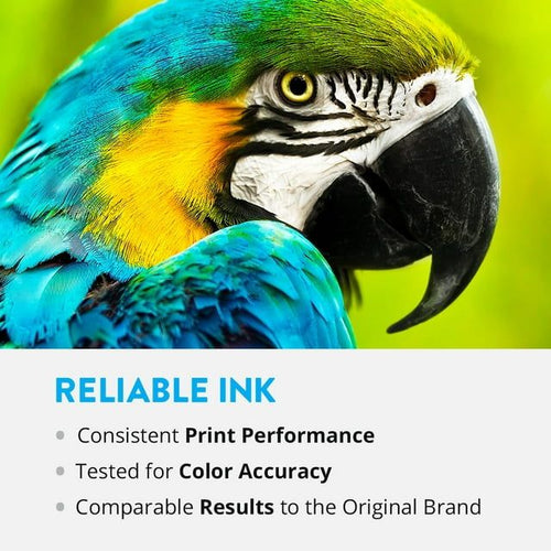 Speedy Remanufactured Cartridge Replacement for HP 74 (Black, 6-Pack) EasyOptionXY LLC