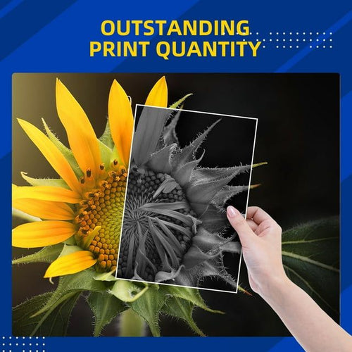 65xl Ink Cartridge for HP 65 Black Ink Cartridge for HP Printer Ink 65 for HP 65xl Ink Cartridge for HP DeskJet 2622 2624 HP ENVY 5010 5012 5020 5030 Printer EasyOptionXY LLC