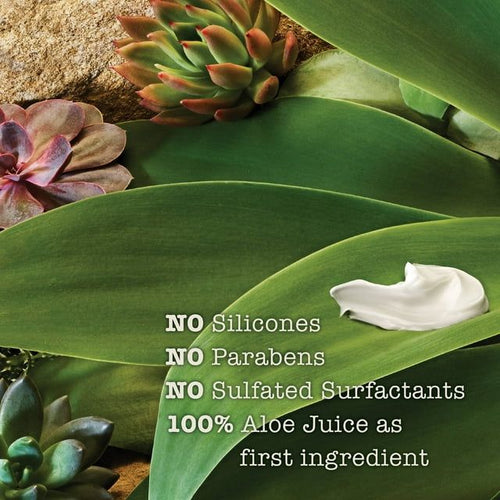 Maui Moisture Detoxifying + Volcanic Ash Scalp Care Mask, 12 oz EasyOptionXY LLC