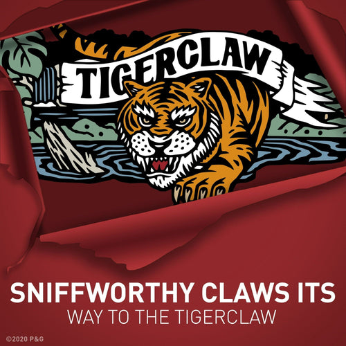 Old Spice Body Wash for Men, Tiger Claw, Long Lasting Lather, All Skin Types, 24 fl oz EasyOptionXY LLC