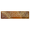 Dove Men+Care Renourish Body Wash Mandarin + Maitake, 18 oz EasyOptionXY LLC