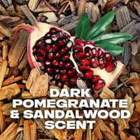 Axe Anarchy Refreshing Long Lasting Body Wash, Dark Pomegranate and Sandalwood, 16 fl oz EasyOptionXY LLC