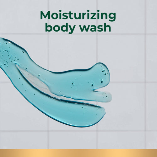 Irish Spring Mens Body Wash, Mountain Chill Scented Body Wash for Men, 20 Oz Bottle EasyOptionXY LLC