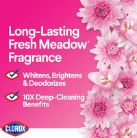 Clorox Splash-Less Liquid Bleach; Fresh Meadow (Concentrated Formula) - 77 Ounce EasyOptionXY LLC