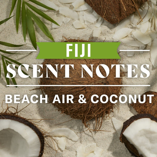 Old Spice Fiji 2in1 Shampoo and Conditioner for Men, All Hair Types, 22 fl oz EasyOptionXY LLC