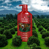 Old Spice Bear Glove 2in1 Shampoo and Conditioner for Men, All Hair Types, 22 fl oz EasyOptionXY LLC