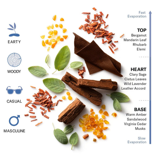 Stetson Spirit 50ml Spirit EDT & 5oz Face Wash Gift Set for Males EasyOptionXY LLC