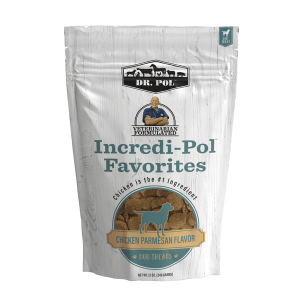 Dr. Pol Incredi-Pol Favorites Parmesan Chicken Flavor Crunchy Dog Treats, 12 oz. Bag EasyOptionXY LLC