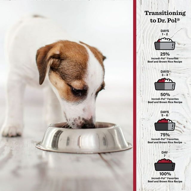 Dr. Pol Incredi-Pol Favorites Beef and Brown Rice Recipe Dog Food - 6lb EasyOptionXY LLC