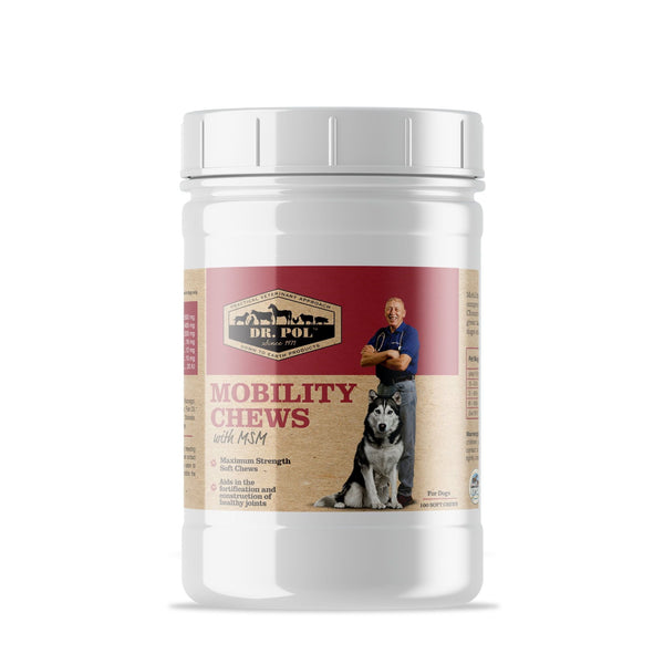 Dr. Pol Mobility Chews with MSM - Glucosamine for Dogs 100 Count EasyOptionXY LLC