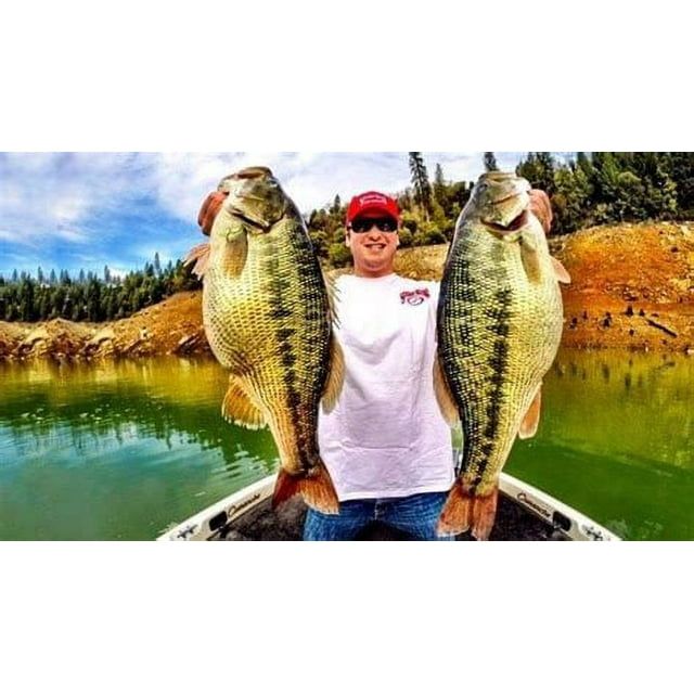 Strike King Rage Craw 4" Green Pumpkin Soft Bait Lure EasyOptionXY LLC