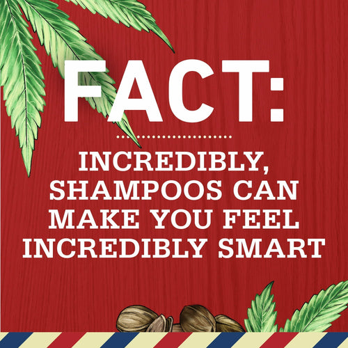 Old Spice Refresh 2 in 1 Shampoo Conditioner, All Hair Types, Hemp Seed, 21.9 fl oz EasyOptionXY LLC