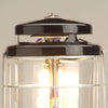 Coleman NorthStar 1500 Lumens 1-Mantle Propane Lantern EasyOptionXY LLC