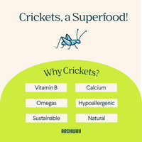 Peanut Butter Cricket Better Biscuit Arch Pet Food