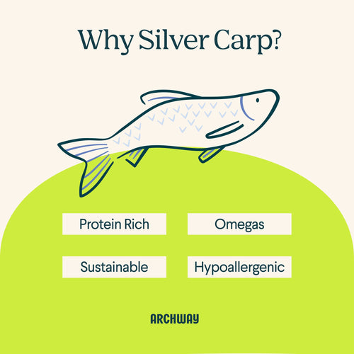 Silver Carp For Cats Arch Pet Food