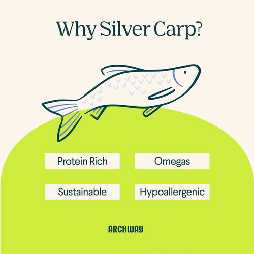 Silver Carp For Dogs Arch Pet Food