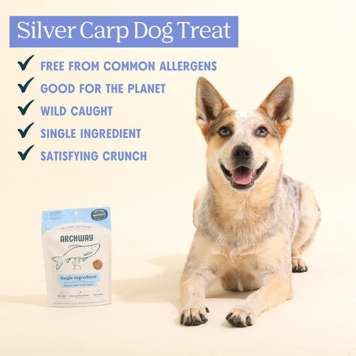 Silver Carp For Dogs Arch Pet Food