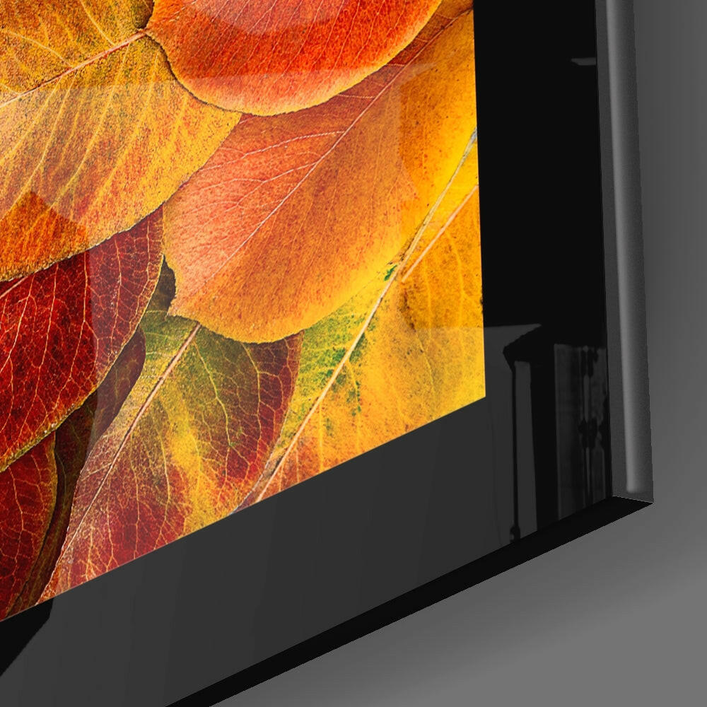 Insigneart USA Insigneart USA Autumn Leaves Glass Wall Art