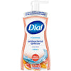 Dial Antibacterial Foaming Hand Wash, Citrus Sunburst, 7.5 fl oz EasyOptionXY LLC