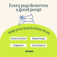 Digestive Health Arch Pet Food